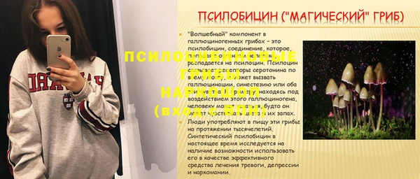 прущие крисы Армянск