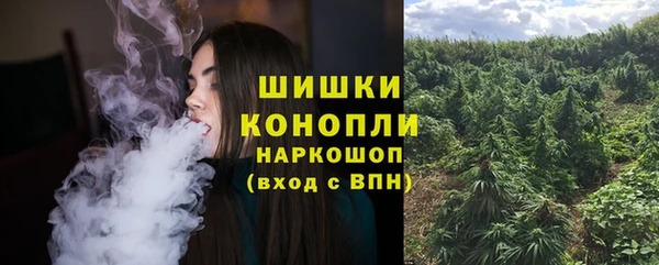 прущие крисы Армянск
